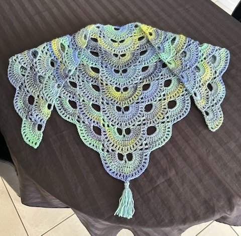 crochet virus shawl made with panda bliss eventide